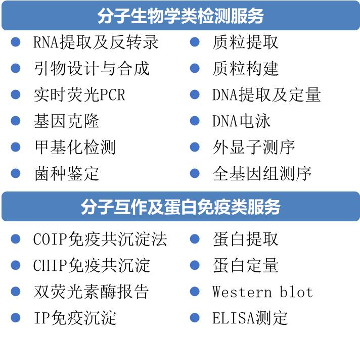 分子技术服务